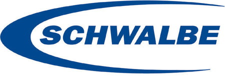 Schwalbe Wicked Will Evo Addix Speedgrip Super Race TLE MTB Tyre Black/Transparent All Sizes