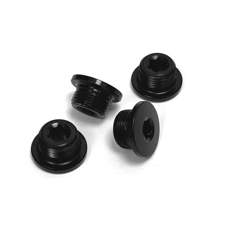 Campagnolo EKAR GT FC-EKGT100 Single Chainring Bolts In Black