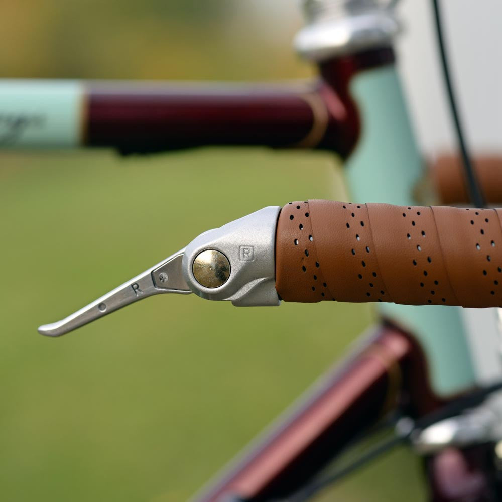 Dia-Compe Bar End Shift Levers | Silver