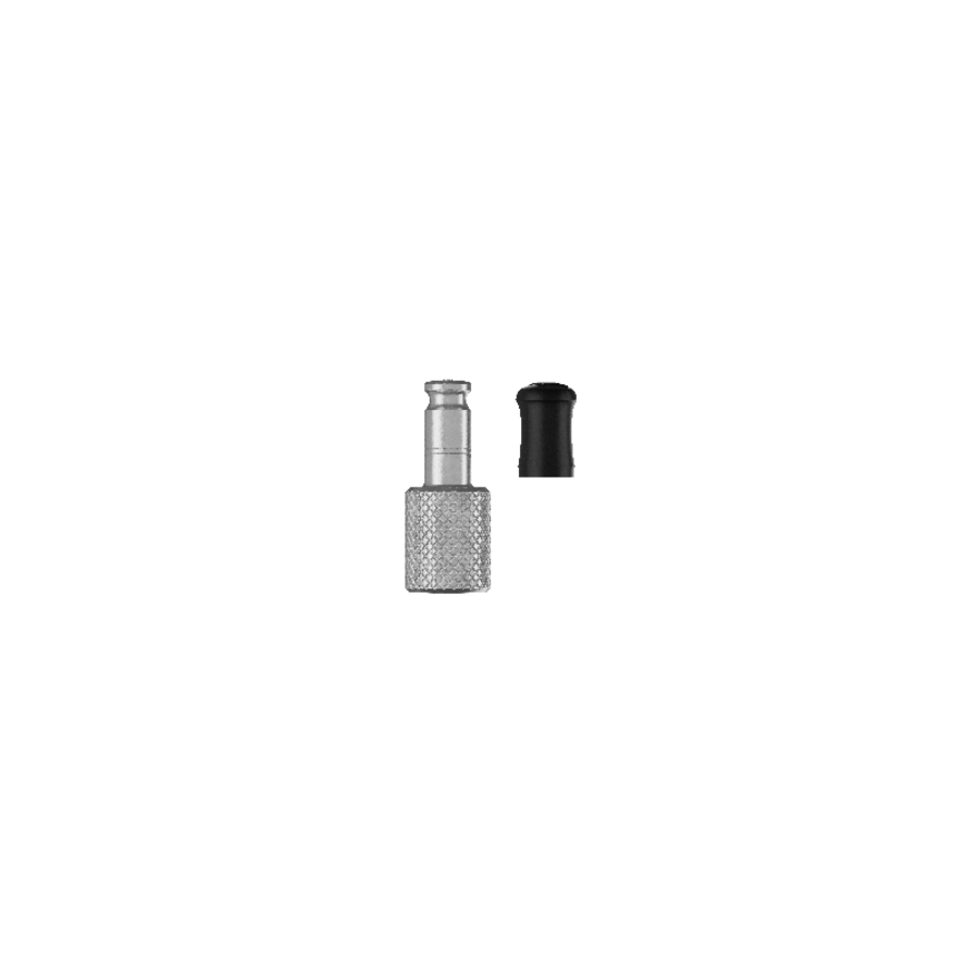 Schwalbe Clik Valve adapter kit showing metal valve with compatible pump adapter.