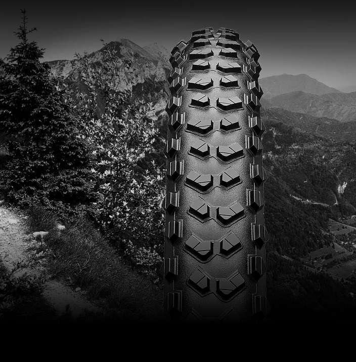 Continental Mountain King Performance Pure Grip Shieldwall Tubeless Ready Folding MTB Downhill Tyre All Sizes