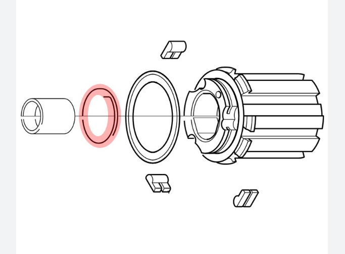 Campagnolo FH-RE114 Wrap Round Freehub Springs - Pack of 5