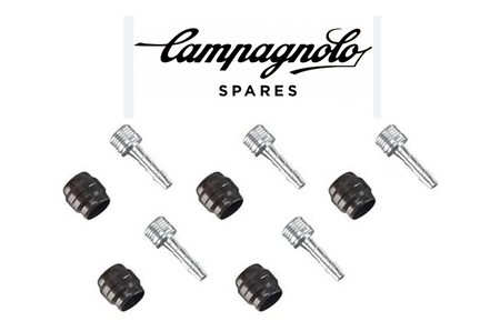 Campagnolo EC-DB011 Hydraulic Brake Olive And Barb Pack of 10