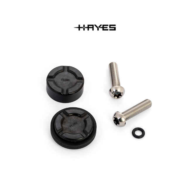 Hayes Dominion T2 Brake Caliper Rebuild Kit