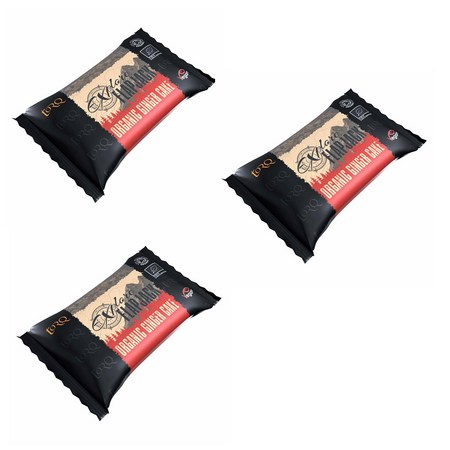 TORQ Explore Flapjack 3 x 65g Bars NEW FLAVOURS ADDED