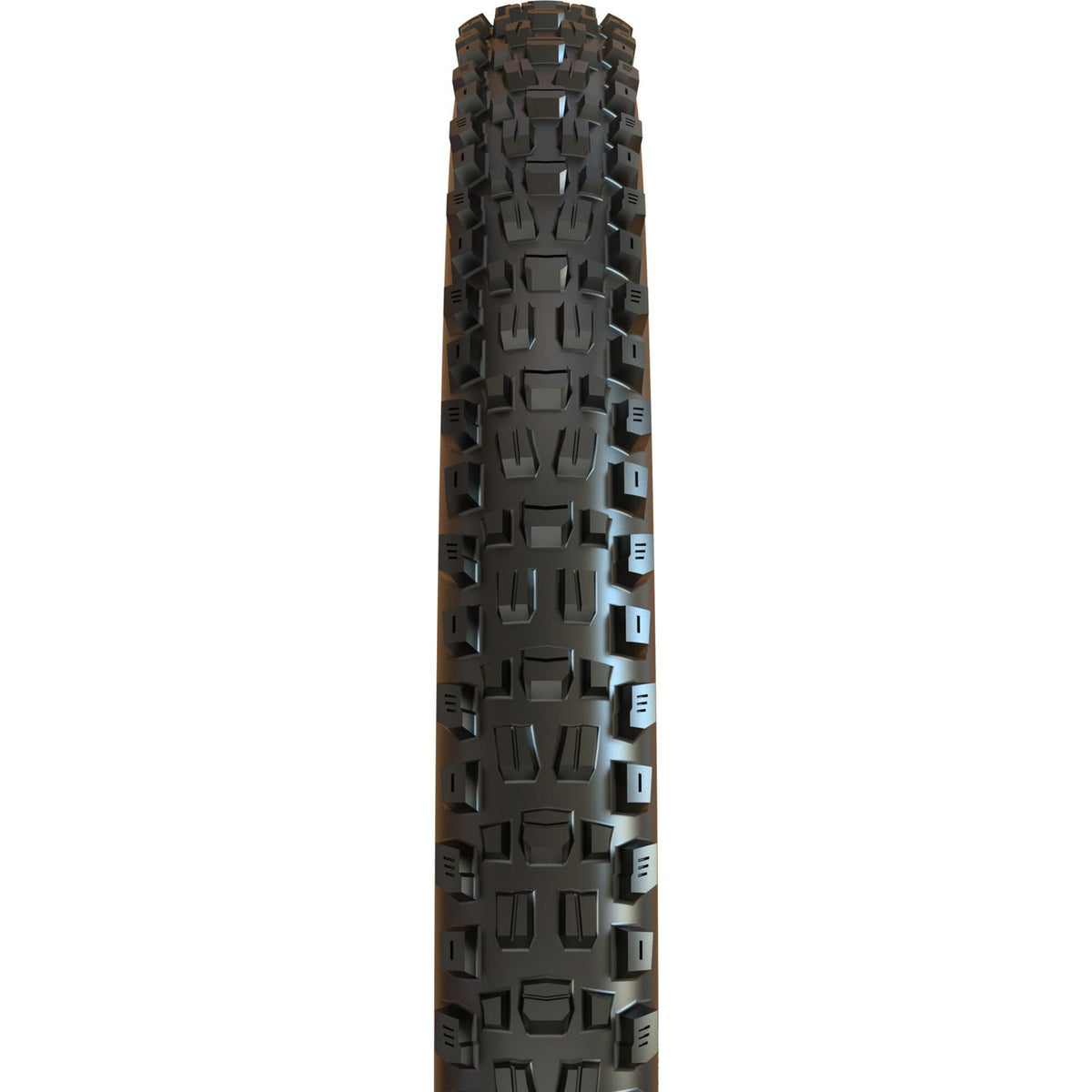 Maxxis Assegai WT 120x2 TPI 3C MaxxGrip Double Down Tubeless Folding Tyre