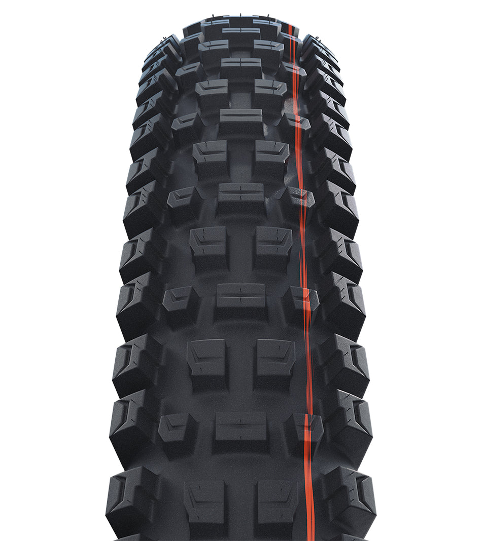 Schwalbe Albert Gravity Pro Radial Soft MTB Folding Tyre in Black