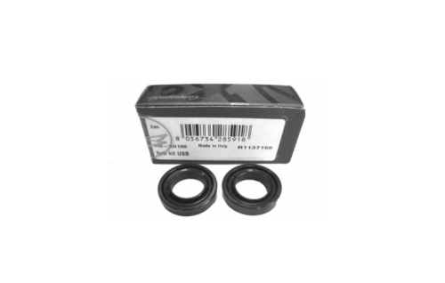 Campagnolo USB Hub Bearing Service Kit HB-SH100 For One Wheel 17x49