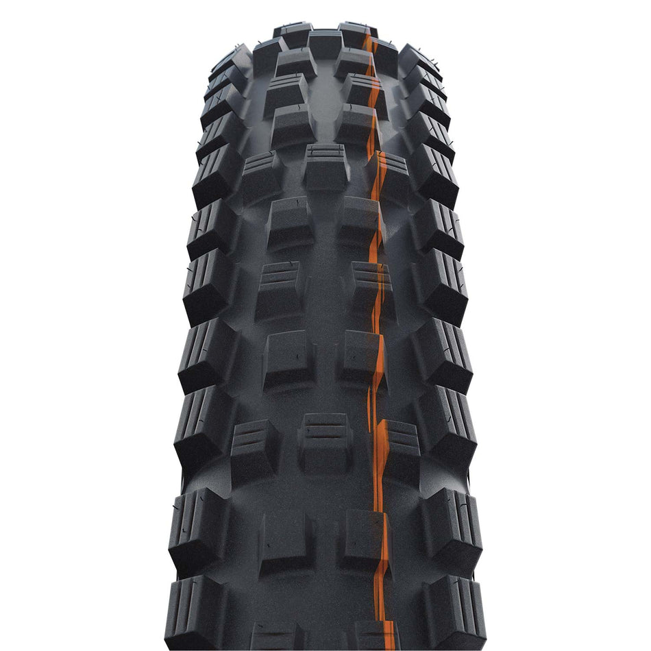 Schwalbe Magic Mary Radial Trail Pro Soft TLR MTB Folding Tyre in Black