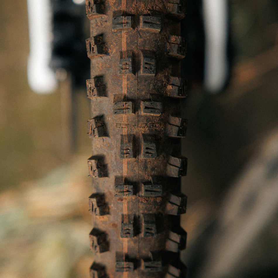 Schwalbe Tacky Chan Gravity Pro TLR Soft Radial MTB Folding Tyre