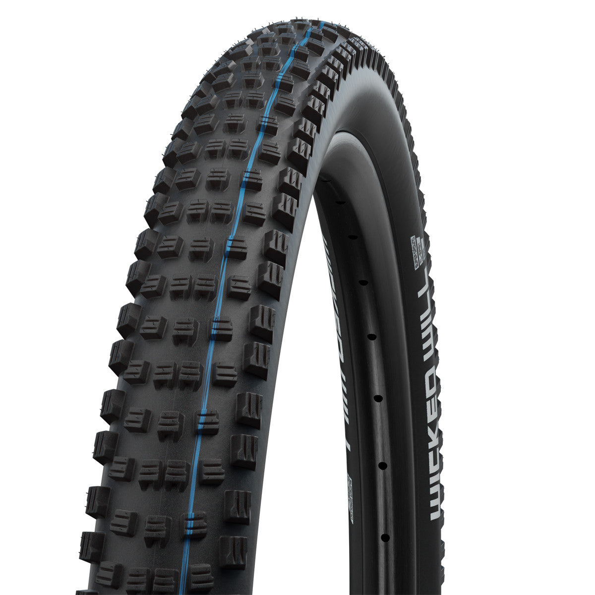 Schwalbe Wicked Will Evo Addix Speedgrip Super Trail TLE MTB Tyre Black All Sizes